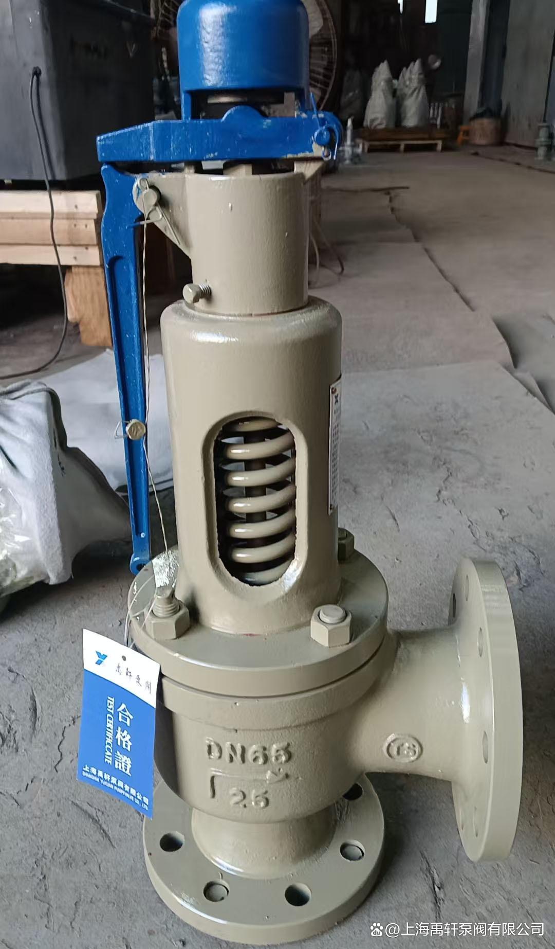 16C-DN50彈簧式安全閥新老交替，助力廣州一廠區設備安全升級